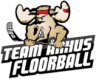 Team Aarhus Floorball